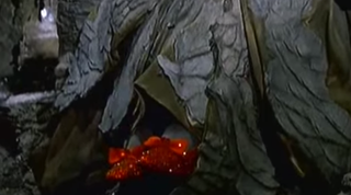 Illustration for article titled $1 Million Being Offered for Judy Garland's Stolen Ruby Slippers